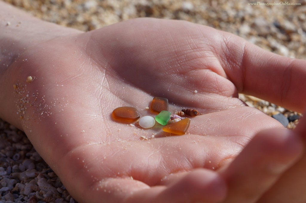 "Glass and Shells" Photograph