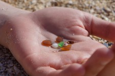 "Glass and Shells" Photograph