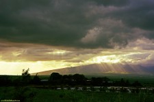 Sun on Maui