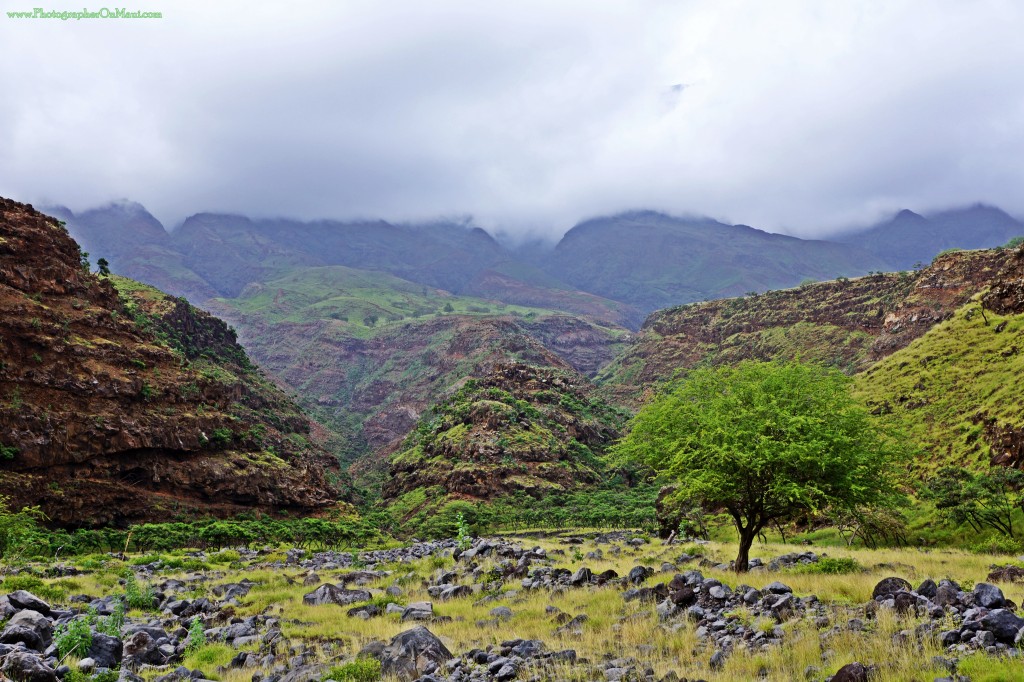 "Canyon" on Maui