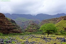 "Canyon" on Maui