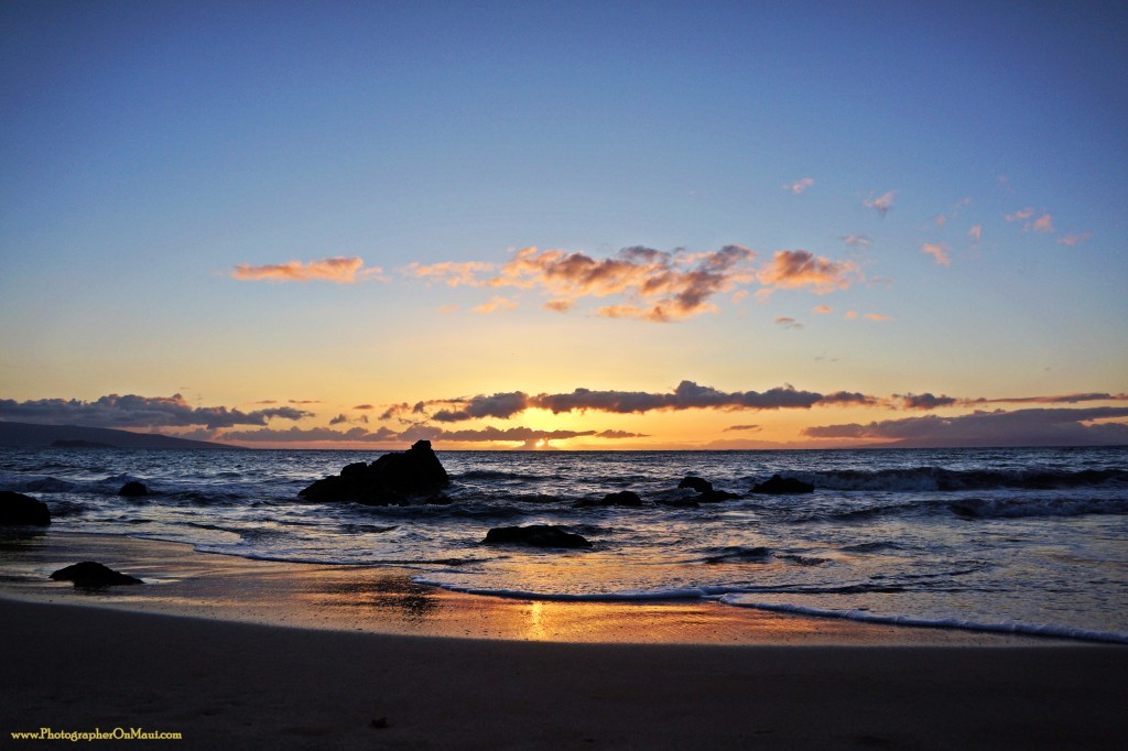 "Waiting" Wailea Photograph