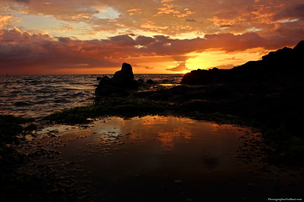 "Seagrass" sunset photo by Kevin Hoffman
