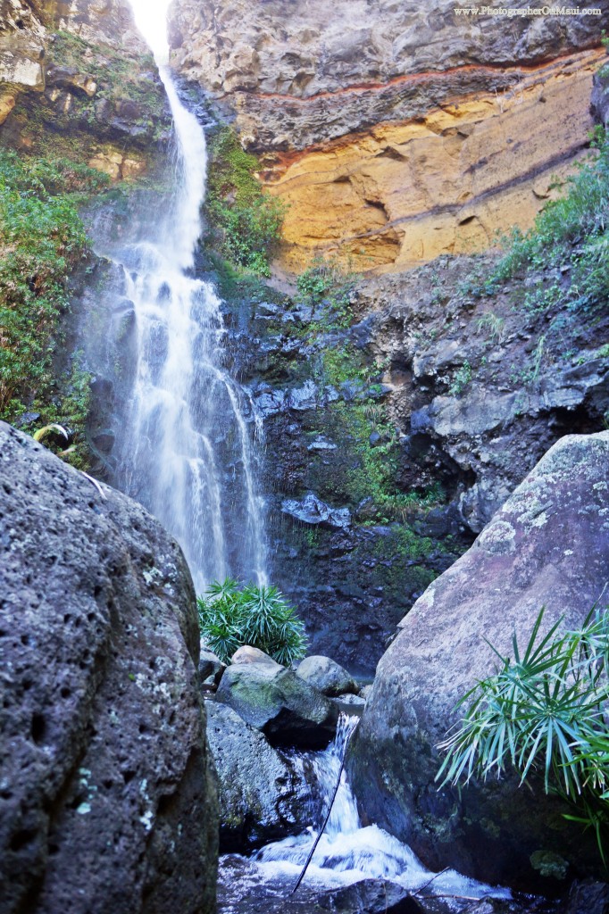 Maui Waterfall deep in the jungle