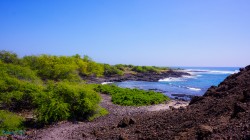 Maui Lava Field Beach