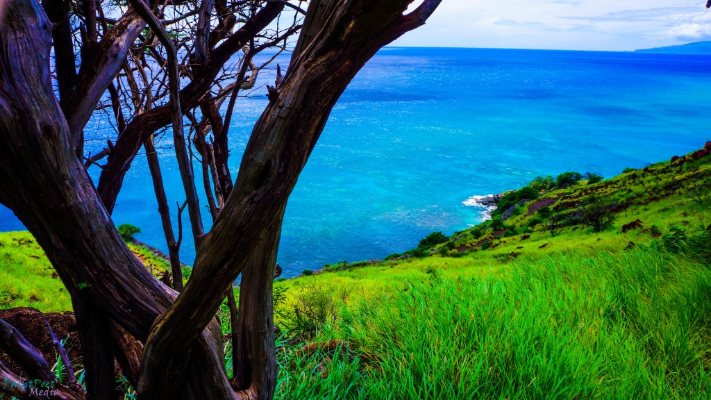 "Coral Outlook"