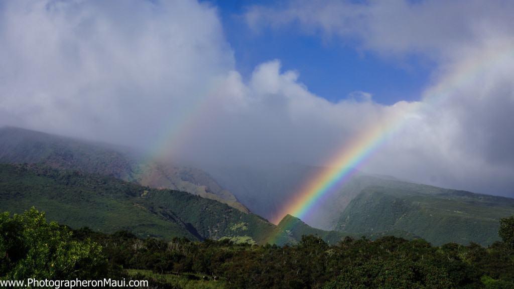 Vivid Kaupo Rainbow