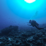 Scuba
